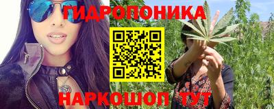 индика Канаш