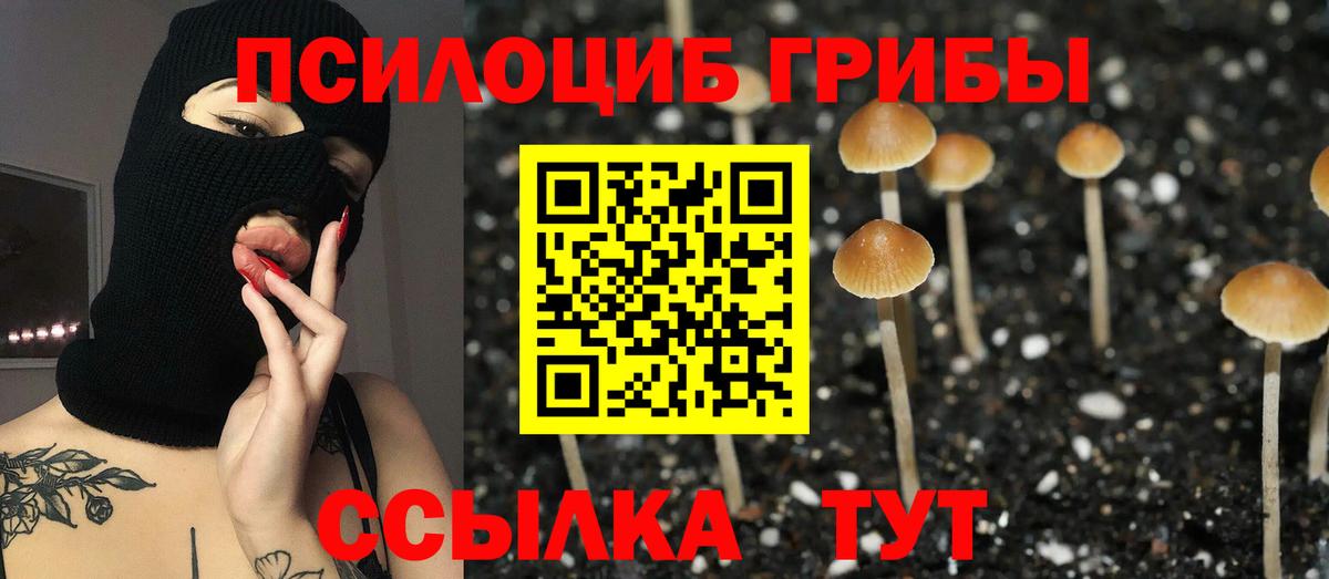 Когалым  цена наркотик  Вход с VPN  Галлюциногенные грибы MAGIC MUSHROOMS 